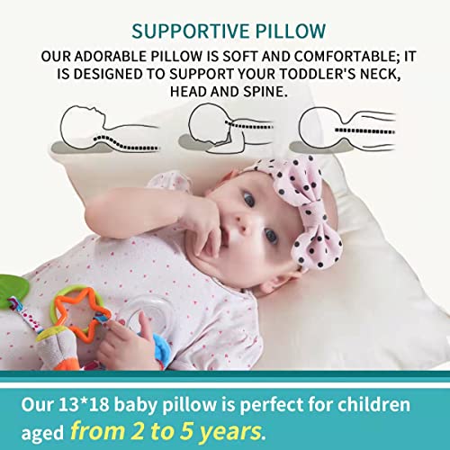 LOFE Organic Pillow with Pillowcase - 13x18 Toddler Pillow with 100% Organic Cotton Shell, Adjustable Loft Organic Toddler Pillow, Machine Washable, Soft, Perfect for Toddlers&Kids&Travel