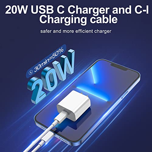 iPhone Charger Fast Charging 2 Pack Type C Wall Charger Block with 2 Pack [6FT&10FT] Long USB C to Lightning Cable for iPhone 14/13/12/12 Pro Max/11/Xs Max/XR/X,AirPods Pro