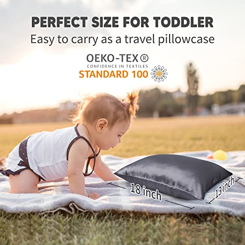 OLESILK 100% Mulberry Silk Toddler Pillowcase for Hair and Skin, Both Sides 19 Momme Pure Natural Silk Travel Pillow Cases with Hidden Zipper, 13"x 18", White