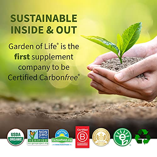 Garden Of Life D3 - Vitamin Code Whole Food Raw D3 Vitamin Supplement, 2000 Iu, Dairy and Gluten Free, Vegetarian, 120 Capsules D3 with Organic Green Cracked Wall Chlorella Plus Probiotics