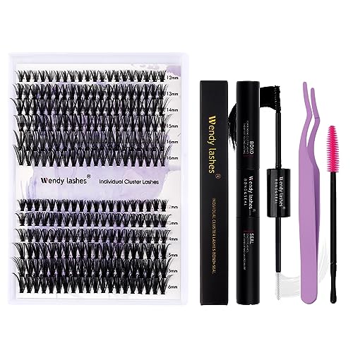 Individual Lashes DIY Eyelash Clusters 300PCS C/D Curl Lash Clusters Comfortable Cat Eye Lashes Super Soft Reusable Wispy Lashes Lash Clusters(300PCS-40D-0.07DD,8-16mm Mixed Tray)