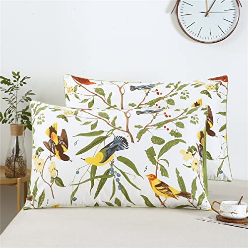 WINLIFE Queen Pillowcases Set of 2 100% Egyptian Cotton Queen Pillow Cases 2, 20×30 inches, Soft and Breathable Pillow Cover, White