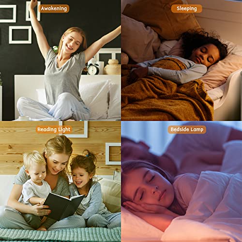 Sunrise Alarm Clock Wake Up Light Brown Noise Machine 29 Alarm Tones with Sunrise Sunset Simulation for Heavy Sleepers Kids Bedroom Dual Alarms Snooze Sound White Noise Machine with 25 Sleeping Sounds