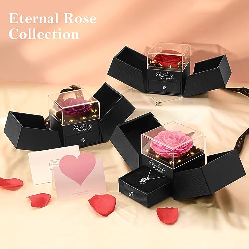 Emibele Preserved Real Pink Rose with S925 Sterling Silver Necklace, Eternal Rose with I Love You Necklace in 100 Languages Music Box with Lights Romantic Gifts for Mom Grandma Wife Girlfriend Her