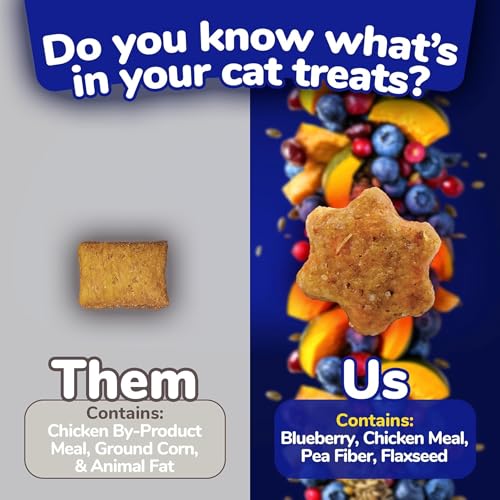 Fruitables Cat Treats – Crunchy Treats For Cats – Healthy Low Calorie Treats Packed with Protein – Free of Wheat, Corn and Soy – Made with Real Chicken with Blueberry – 2.5 Ounces