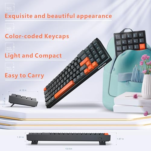 Odycle Wired Gaming Mechanical Keyboard, Portable LED Backlit Keyboard, 78 Keys 60% Mini Keyboard with Hot Swappable Red Switch, USB-A and Type-C Receiver for PC, Mac and All Type-C Devices, Black