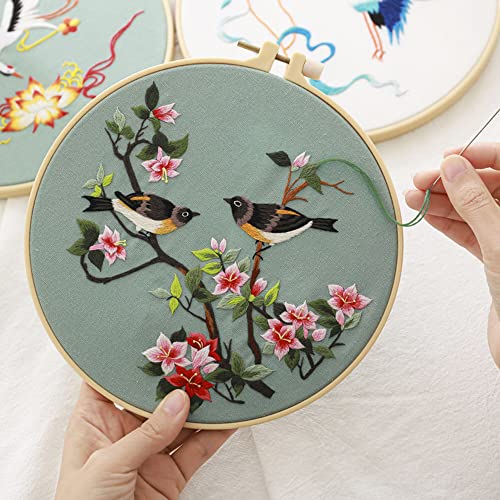 Picoey Birds Embroidery Kit for Beginners with Pattern and Instructions,4 Pack Cross Stitch Kits,2 Wooden Embroidery Hoops,Threads and Needles,Needlepoint Kit for Adults