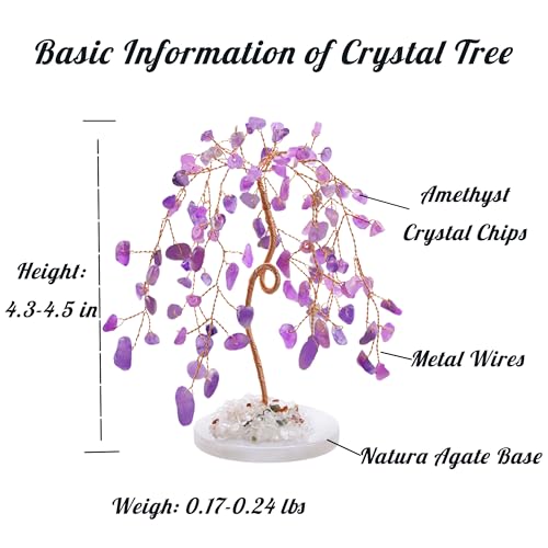ZHIYUXI Amethyst Purple Room Decor Home Office Crystals Tree Gifts for Women Men Gemstones Desk Lucky Stones