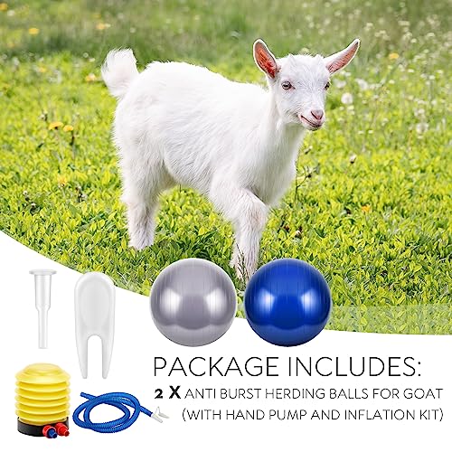 Sotiff 2 Pcs Herding Goat Ball Large PVC Exercise Training Ball with Inflator Pump for Dogs, Goats, Horses Outdoor Entertainment(17.7 Inch,Blue, Grey)