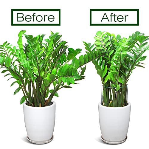 LEOBRO Plant Support Stakes, 4 PCS Plant Stakes, Plant Support, Peony Cages and Supports, Garden Stakes, Plant Holder, Plant Stakes for Outdoor Plants, Peony Hydrangea Support Cage, 9.8" W x 15.7" H