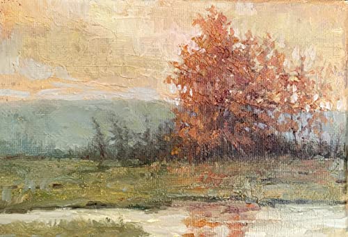 RoseArt Premium Oil Paint - Set 12 Colors, Maximum Strength Pigmented Oil Paints for Professionals, Students,