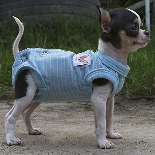 LOPHIPETS Girl Dog Shirts Pajamas for Small Teacup Dog Chihuahua Yorkie Puppy Cat Clothes-Cambridge Blue Strips/XXS