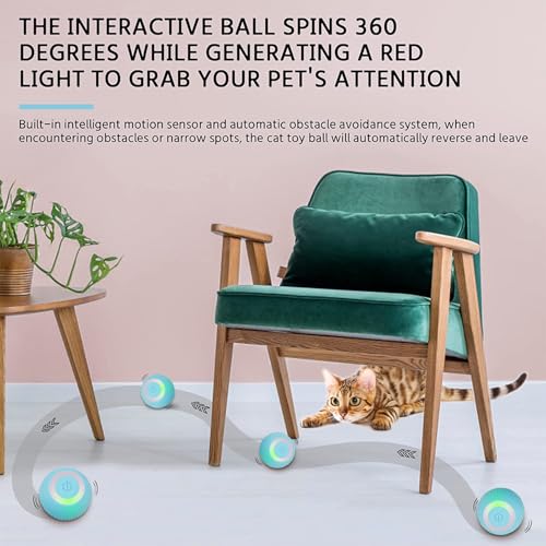 Found Notice Cat Ball Toy, Interactive Cat Toys, Automatic Motion Activated Moving Ball Hide and Seek Game for Indoor Exercise，Gifts for Kittens
