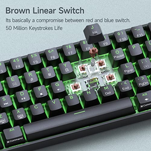 DIERYA DK61SE 60% Mechanical Gaming Keyboard, 61 Keys Anti-Ghosting, LED Backlight, Detachable USB-C, Ultra-Compact Mini Wired Keyboard with Brown Tactile Switch for Windows Laptop PC Gamer Typist