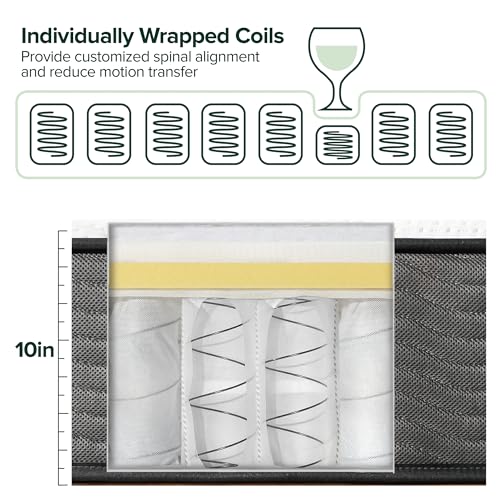 ZINUS 12 Inch True Support Hybrid Mattress [New Version], Queen, Fiberglass Free, Medium Feel, Motion Isolation, Certified Safe Foams & Fabric, Mattress in A Box