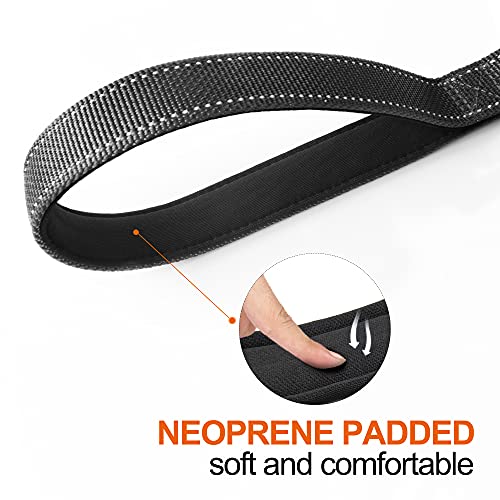 TwoEar 4FT 1IN Strong Black Dog Leash with 2 Padded Handles, Traffic Handle Extra Control, Comfortable Soft Dual Handle, Auto Lock Hook, Reflective Walking Lead for Small Medium and Large Dogs