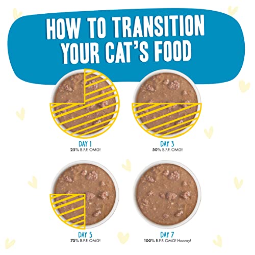 Weruva B.F.F. OMG - Best Feline Friend Oh My Gravy!, Chicken Charge Me Up with Chicken in Gravy, 2.8oz Pouch (Pack of 12)