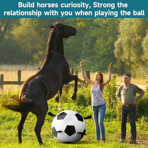 QDAN Herding Dog Balls Horse Ball - 18 inch Horse Toys Herding Ball for Dogs, Large Giant Ball Toys for Australian Shepherd Dog Toys, Black