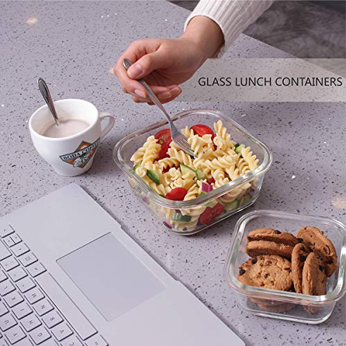 S SALIENT 18 Piece Glass Food Storage Containers with Lids, Meal Prep Containers for Food Storage, BPA Free & Leak Proof (9 lids & 9 Containers)