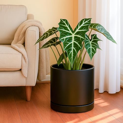 D'vine Dev 14 Inch Ceramic Planter Pot with Drainage Hole and Saucer, Indoor Cylinder Round Planter Pot, White, 94-O-G-1