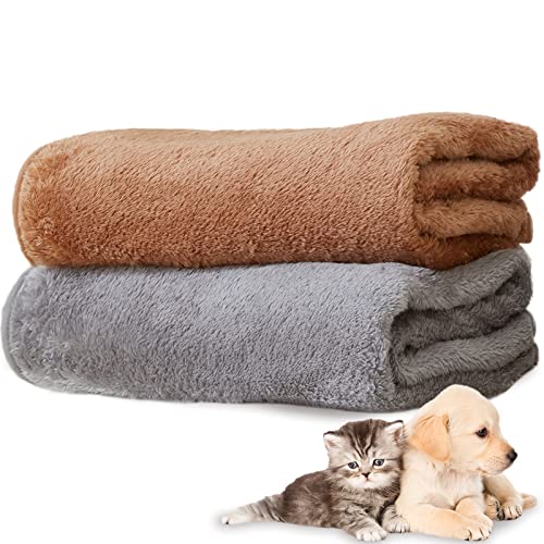 SUDDUS 2 Pack Dog Blankets for Large Dogs Washable, Cozy Calming Cat Blanket for Indoor Cats Dog Crate Blanket with Reversible Plush, Fluffy & Soft Dog Blanket for Couch Pet Blanket for Dogs (48"X36")