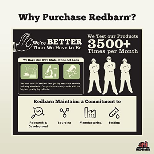 Redbarn Filled Dog Bones Peanut Butter, Cheese N' Bacon, Beef, Natural Long-Lasting Dental Treats; Suitable for Aggressive Chewers. Beef, Small 3" - 1 Bone