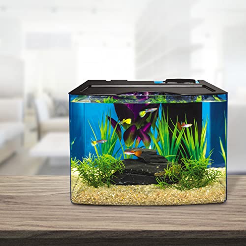 Tetra Aquarium Kit, Fish Tank with Filter & Lights