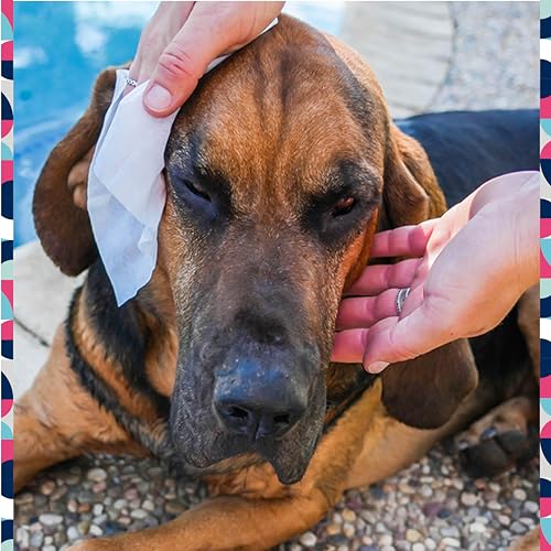 Pet Life Unlimited Dog Ear Wipes, Dog Eye Wipes - Plant-Based Dog Ear Cleaner Wipes with Moisturizing Aloe Leaf & Soothing Chamomile - Fragrance Free Eye and Ear Wipes for Dogs - 30 Count (Pack of 1)
