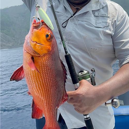 LITTMA—Slow Pitch Jigging Rod LITTMA Jigging Rods Saltwater Jigging Spinning Rod One Piece Inshore/Offshore Rod