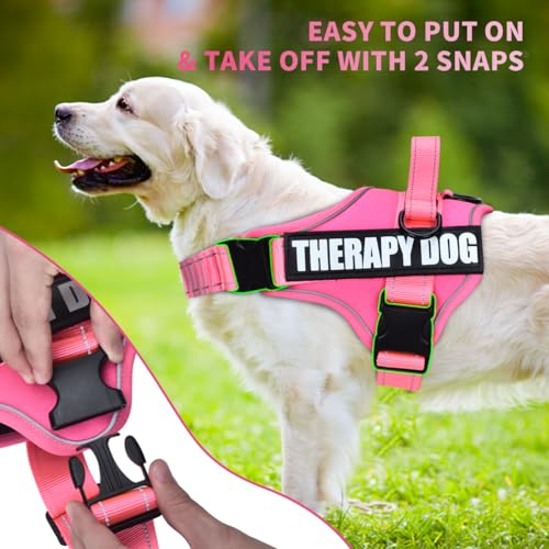 Dog Vest Harness and Leash Set, Animire Reflective Service Dog Vest with 10 Patches, 3 Rings No Choke Pet Vest for Leash Placement, in Training Dog Harness for Small Medium Large Dogs(Hot Pink,XS)