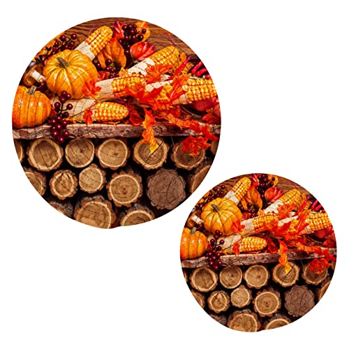 Autumn Trivets for Hot Pots Pans,Fall Pumpkins Hot Mats Pads for Kitchen Heat Resistant, Thanksgiving Decorative Counter Tops Dining Washable Pot Holder Coasters Set