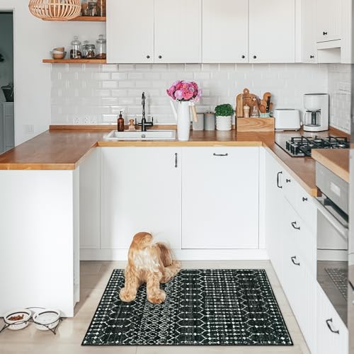 Lahome Moroccan Black Rug for Living Room - Washable Area Rug 5x7 Non-Slip Ultra-Thin Soft Bedroom Rugs Large Stain Resistant Dining Room Rugs, Geometric Print Modren Carpet Rug for Office Entryway