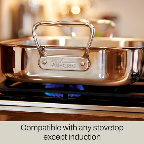 All-Clad Specialty Stainless Steel Roaster with Nonstick Rack 11x14 Inch Oven Broiler Safe 600F Roaster Pan, Pots and Pans, Bakeware, Silver