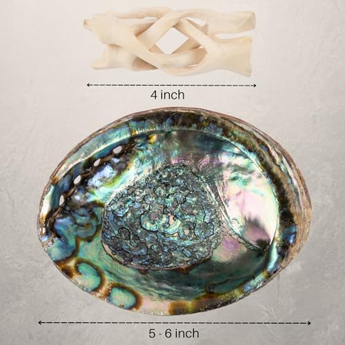 Wish Well Sage Smudge Kit - 3 Dragons Blood Sage Sticks, 2 Palo Santo Sticks, Abalone Shell, Stand, Feather, 7 Chakra Stones & Crystal Bracelet ~ Sage Incense Sticks for Cleansing House & Meditation