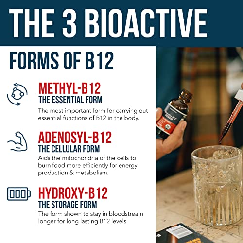 BioActive Vitamin B12 5000 mcg | Contains 3 BioActive B12 Forms Plus Methylfolate Cofactor - Methyl B12, Adenosyl B12 & Hydroxy B12 | Sublingual Form, Cherry Flavor, Organic, Vegan (60 Servings)