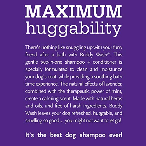 Buddy Wash 2-in-1 Dog Shampoo and Conditioner for Dog Grooming, Lavender & Mint, 1 gal. Bottle