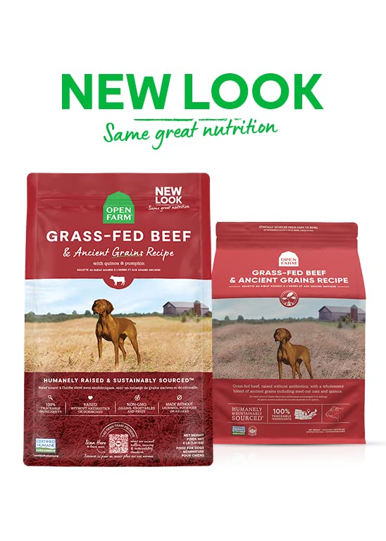 Open Farm Ancient Grains Dry Dog Food, Humanely Raised Meat Recipe with Wholesome Grains and No Artificial Flavors or Preservatives (Grass-Fed Beef Ancient Grain, 4 Pound (Pack of 1))