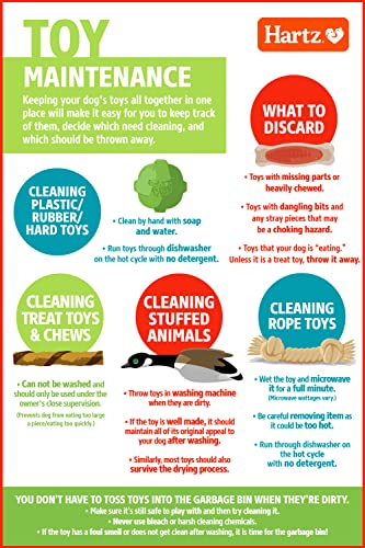 Hartz DuraPlay Bacon Scented Dog Toys, Small (Assorted Color)