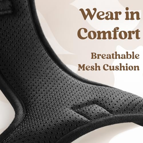 rabbitgoo Dog Harness Small Sized, No Pull Pet Harness with 3 Buckles, Adjustable Soft Padded Dog Vest with Instant Control Handle, Easy Walking Reflective Pet Vest for Small Dogs, Black, S