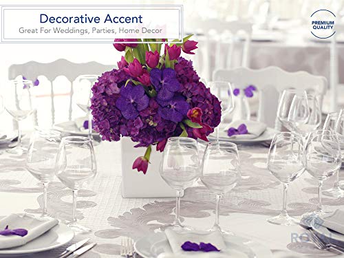 Royal Imports Flower Acrylic Vases Cubes - Decorative Centerpiece for Home or Wedding - Non Breakable Plastic, 4" - White