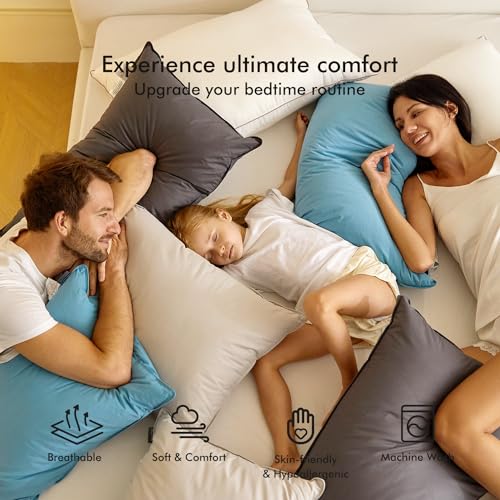 Royoliving Premium Feather Down Bed Pillows for Sleeping Queen Size - 100% Cotton Fabric, Medium Firm, Soft Support Surround (Grey, 30"×20")