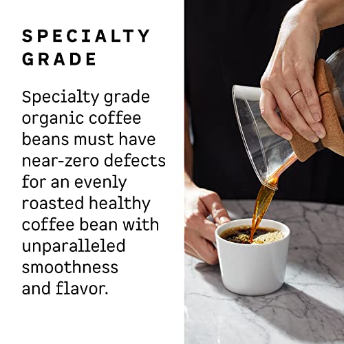 Kion Organic Ground Coffee, Tested for Toxins, Ethically Sourced, Rich, Bold, and Smooth, Medium Roast 12 Oz (1 Pack)