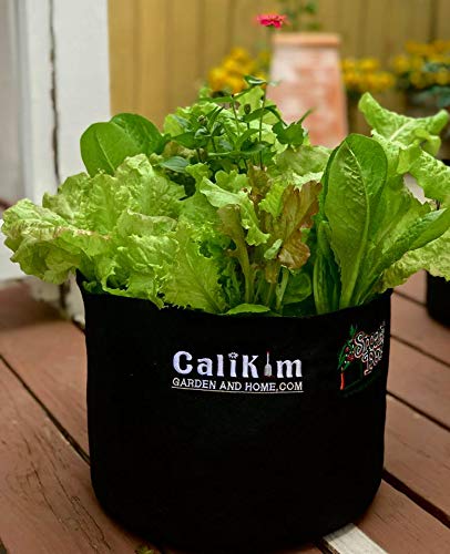 Smart Pots 100-Gallon Smart Pot Soft-Sided Container, Black