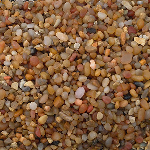 TerraGreen Creations Succulent Planter Kit - Terrarium Kit with Succulent Soil, Gravel, Pebble, Moss,