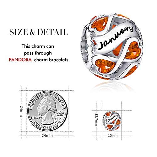 FOREVER QUEEN January Birthstone Charms 925 Sterling Silver Infinite Love Heart Openwork Bead for Charm Bracelets and Necklaces with 5A Cubic Zirconia, Birthday Jewelry Gifts Women