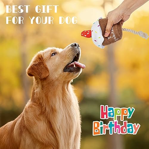 REQIHO Dog Birthday Toys - Plush Squeaky Cake Dog Toy, Strawberry Birthday Gift