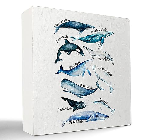 kunlisa Sea Life Whale Educational Ocean Animal Wooden Box Sign Desk Decor,Farmhouse Whale Theme Wood Block Plaque Box Sign for Coastal Beach Home Classroom Library Dorm Shelf Table Decoration