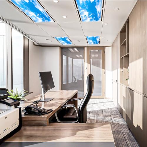 Aheroi Light Covers, 2 Pcs 4 x 2 Feet Fluorescent Light Covers, 10 Magnets Magnetic Light Covers for Ceiling Lights Drop Ceiling Light Cover, Light Filters for Room School Office Decor(Cloud Blue Sky)
