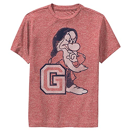 Disney Boy's G 4 Grumpy T-Shirt, Red Heather, Small