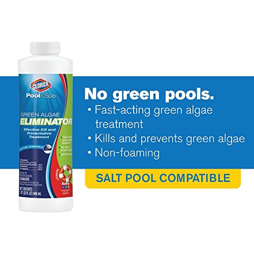 Clorox® Pool&Spa™ Swimming Pool Algaecide, Prevents and Treats Pool Algae, Non-Foaming, 1 Quart (Pack of 1)